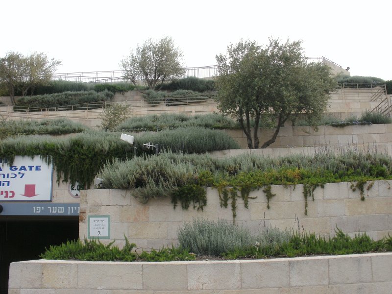 BILD0010.JPG