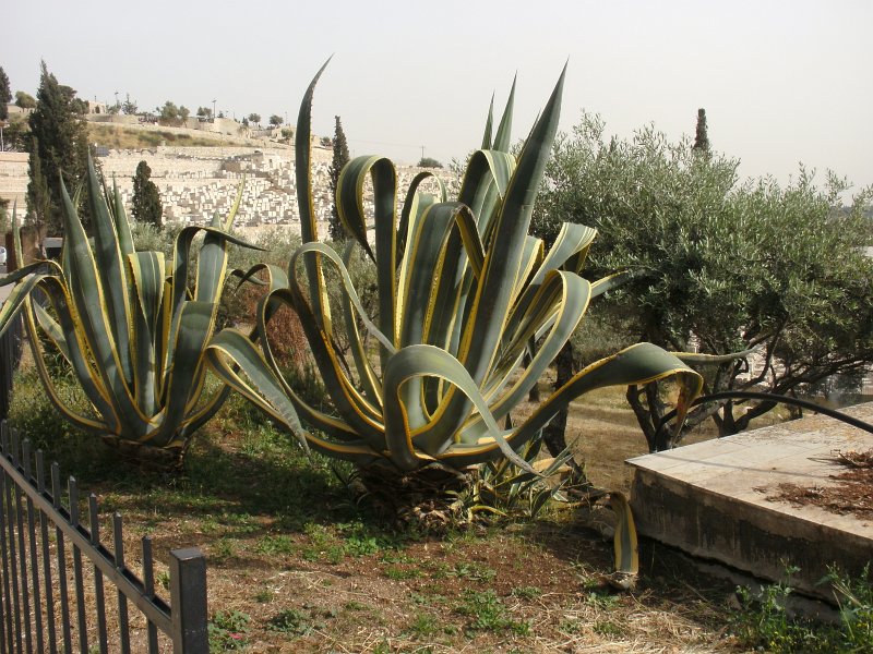 BILD0168.JPG