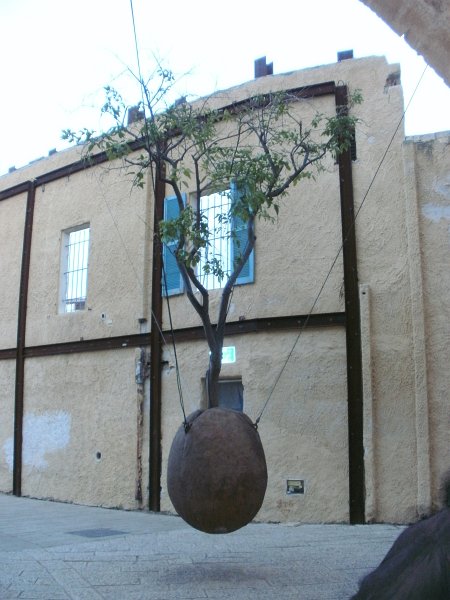 BILD0362.JPG